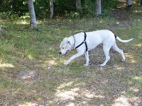 Raduno 4X4 26-07-2015 (50)